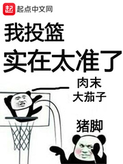 我投籃實在太準了小說