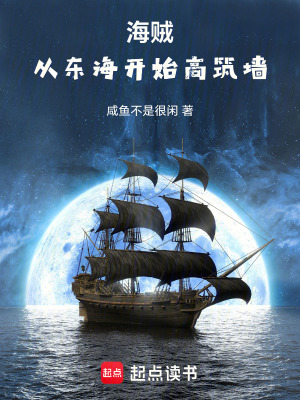 海賊：從東海開始高築牆小說