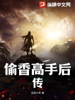 偷香高手加長版