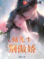 陸先生別這樣免費小說