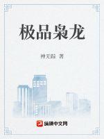 極品梟龍小說