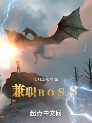 兼职boss小说宝月流光