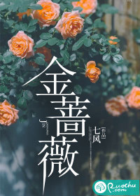 金薔薇影視